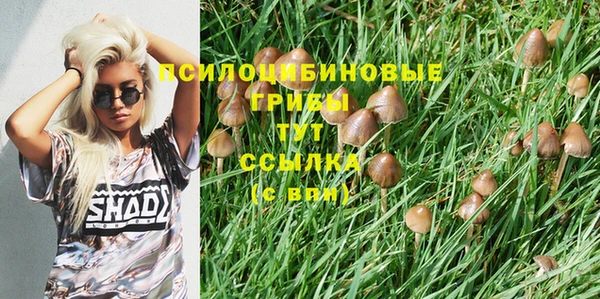 дурь Аркадак
