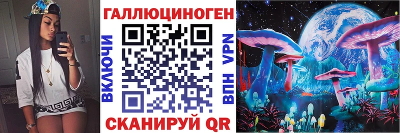 где можно купить   Новая Ляля  Галлюциногенные грибы мицелий 
